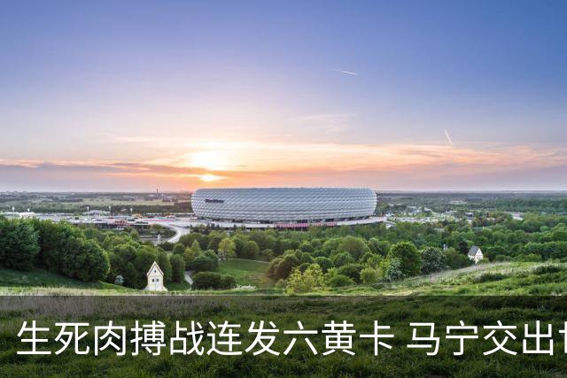 生死肉搏战连发六黄卡 马宁交出世界杯主哨首秀答卷
