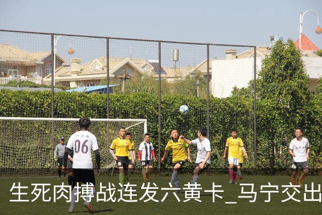 生死肉搏战连发六黄卡 马宁交出世界杯主哨首秀答卷